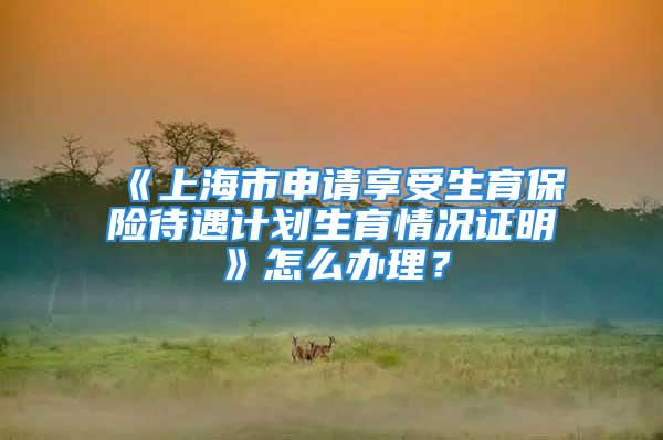 《上海市申请享受生育保险待遇计划生育情况证明》怎么办理？