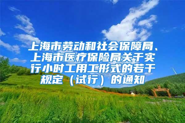 上海市劳动和社会保障局、上海市医疗保险局关于实行小时工用工形式的若干规定（试行）的通知