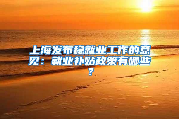 上海发布稳就业工作的意见：就业补贴政策有哪些？