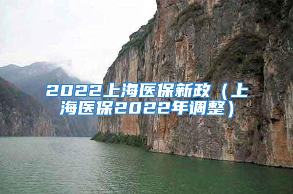 2022上海医保新政（上海医保2022年调整）