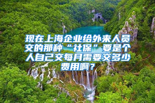 现在上海企业给外来人员交的那种“社保”要是个人自己交每月需要交多少费用啊？