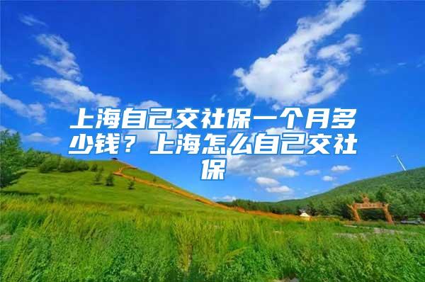 上海自己交社保一个月多少钱？上海怎么自己交社保