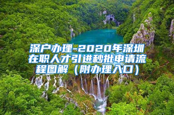 深户办理-2020年深圳在职人才引进秒批申请流程图解（附办理入口）