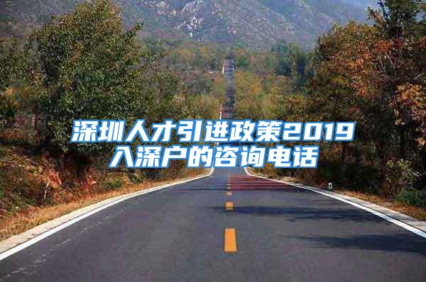 深圳人才引进政策2019入深户的咨询电话