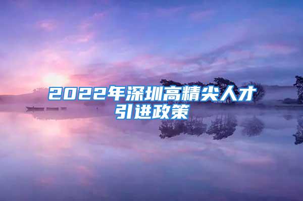 2022年深圳高精尖人才引进政策