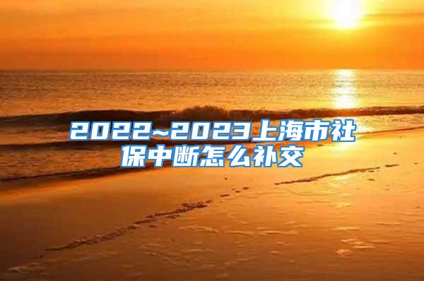 2022~2023上海市社保中断怎么补交