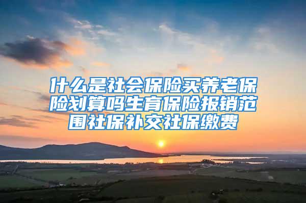 什么是社会保险买养老保险划算吗生育保险报销范围社保补交社保缴费