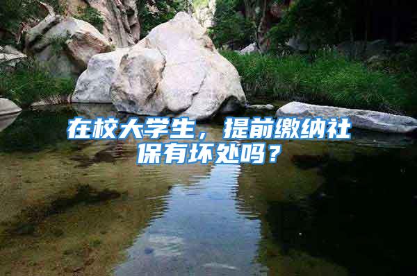 在校大学生，提前缴纳社保有坏处吗？