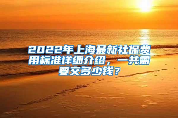 2022年上海最新社保费用标准详细介绍，一共需要交多少钱？