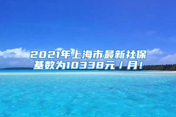 2021年上海市最新社保基数为10338元／月！