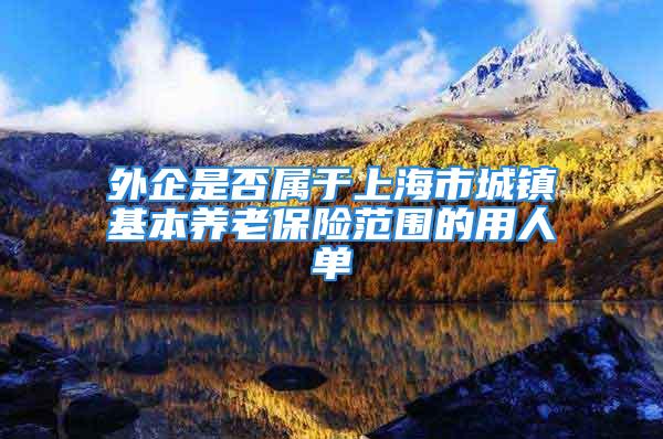 外企是否属于上海市城镇基本养老保险范围的用人单