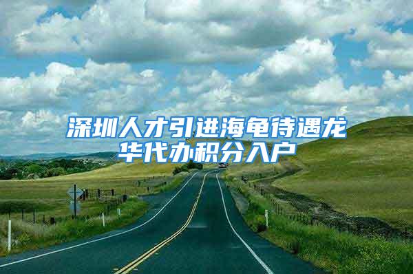 深圳人才引进海龟待遇龙华代办积分入户