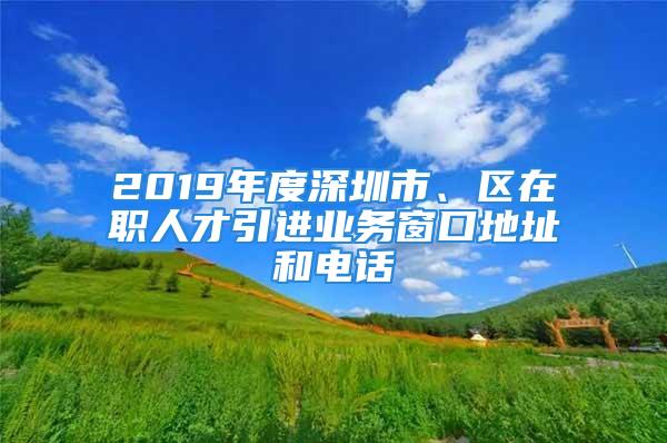 2019年度深圳市、区在职人才引进业务窗口地址和电话