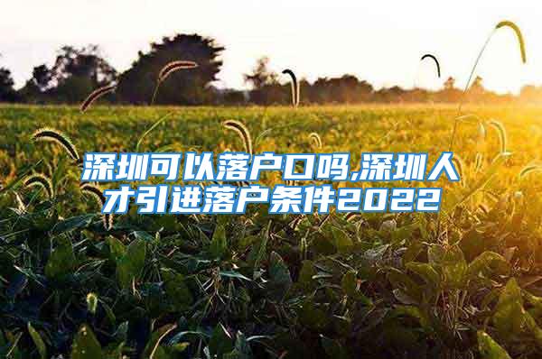 深圳可以落户口吗,深圳人才引进落户条件2022