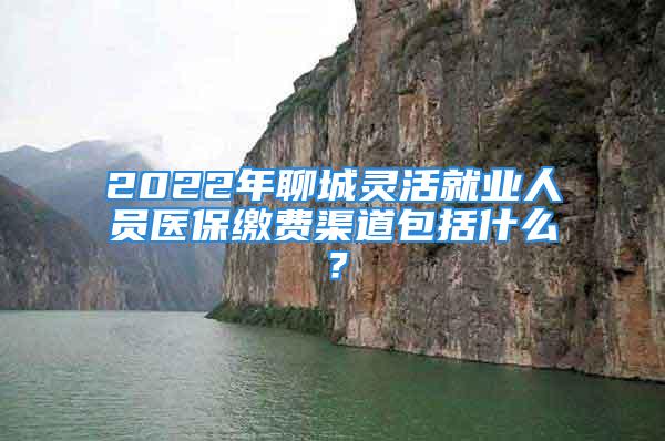 2022年聊城灵活就业人员医保缴费渠道包括什么？