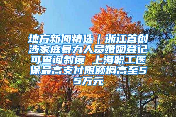 地方新闻精选｜浙江首创涉家庭暴力人员婚姻登记可查询制度 上海职工医保最高支付限额调高至55万元