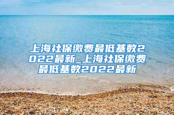 上海社保缴费最低基数2022最新_上海社保缴费最低基数2022最新