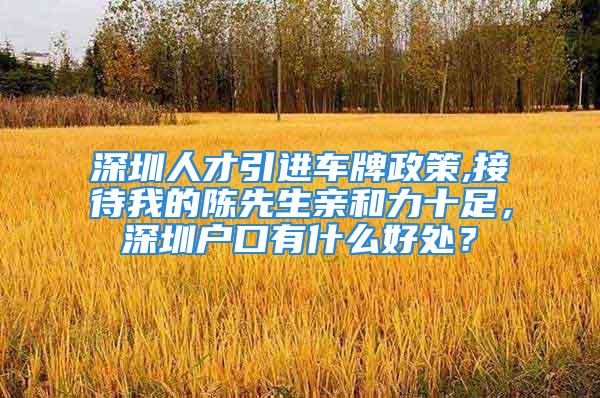 深圳人才引进车牌政策,接待我的陈先生亲和力十足，深圳户口有什么好处？