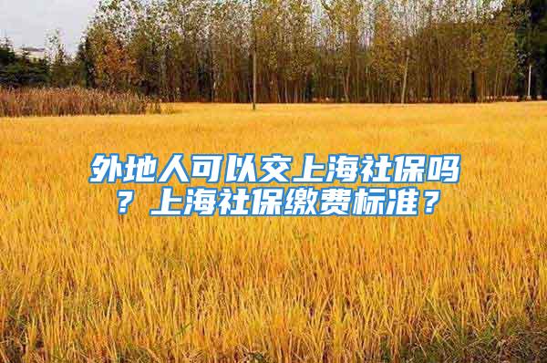 外地人可以交上海社保吗？上海社保缴费标准？