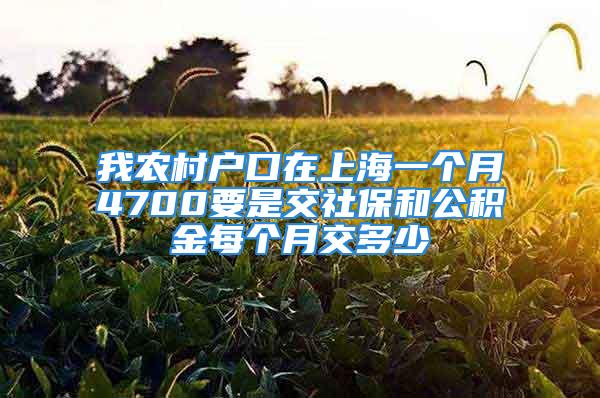 我农村户口在上海一个月4700要是交社保和公积金每个月交多少