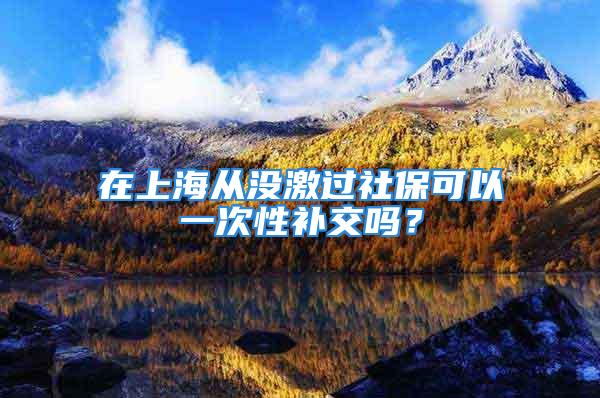 在上海从没激过社保可以一次性补交吗？