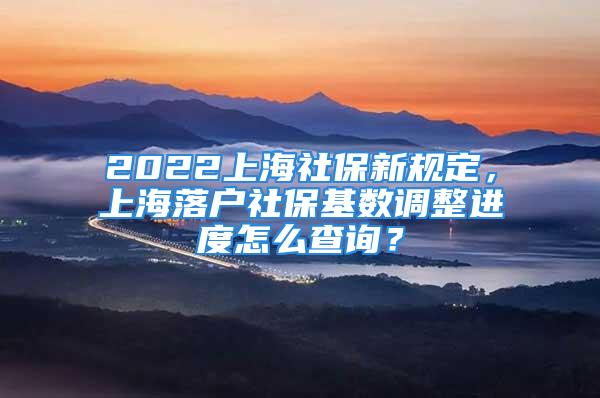 2022上海社保新规定，上海落户社保基数调整进度怎么查询？