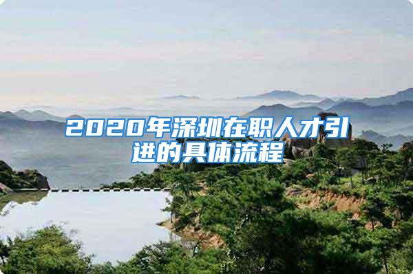 2020年深圳在职人才引进的具体流程