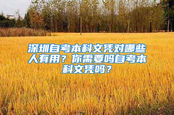 深圳自考本科文凭对哪些人有用？你需要吗自考本科文凭吗？