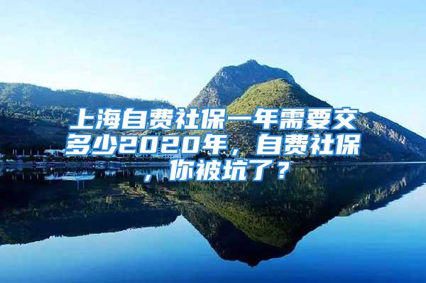 上海自费社保一年需要交多少2020年，自费社保，你被坑了？