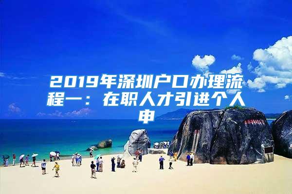 2019年深圳户口办理流程一：在职人才引进个人申