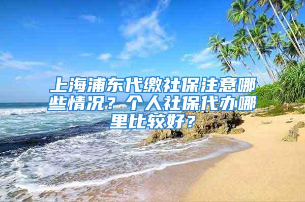 上海浦东代缴社保注意哪些情况？个人社保代办哪里比较好？