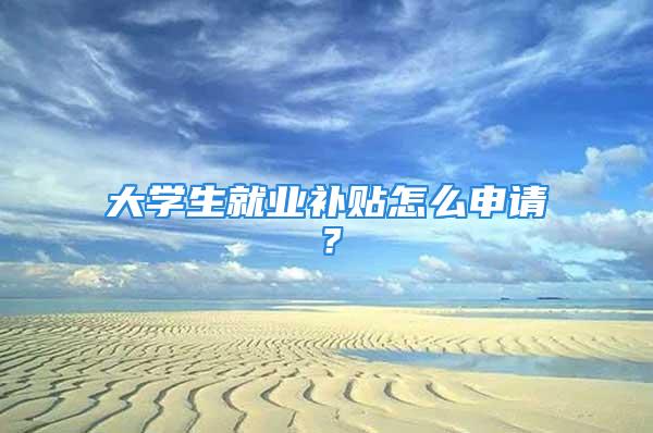 大学生就业补贴怎么申请？