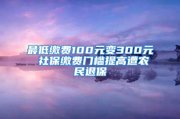 最低缴费100元变300元 社保缴费门槛提高遭农民退保