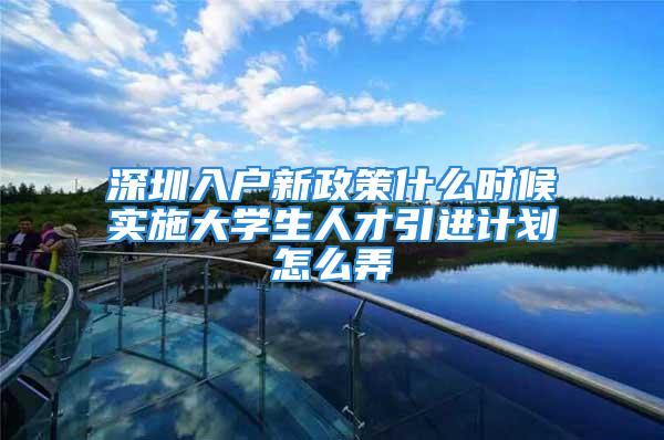 深圳入户新政策什么时候实施大学生人才引进计划怎么弄