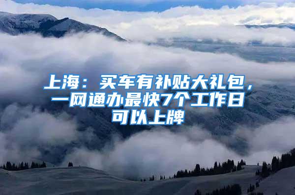 上海：买车有补贴大礼包，一网通办最快7个工作日可以上牌