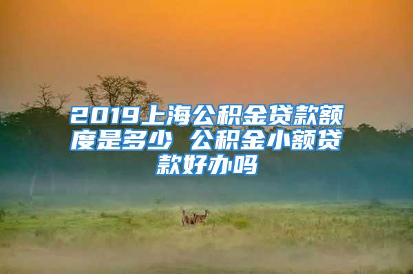 2019上海公积金贷款额度是多少 公积金小额贷款好办吗