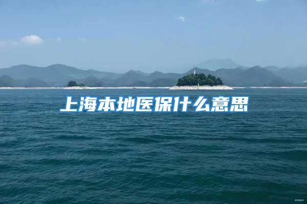 上海本地医保什么意思