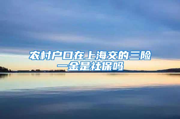 农村户口在上海交的三险一金是社保吗