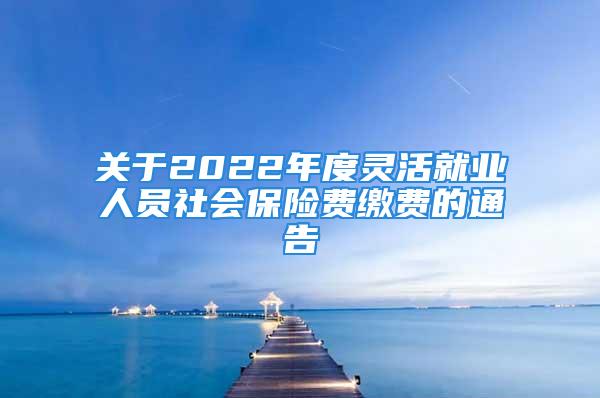 关于2022年度灵活就业人员社会保险费缴费的通告