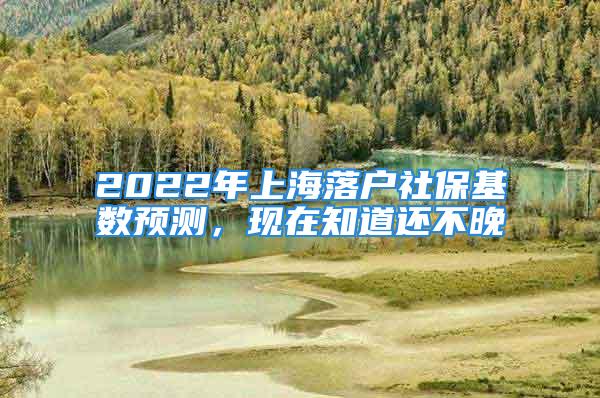 2022年上海落户社保基数预测，现在知道还不晚