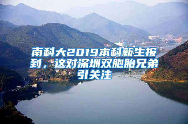 南科大2019本科新生报到，这对深圳双胞胎兄弟引关注