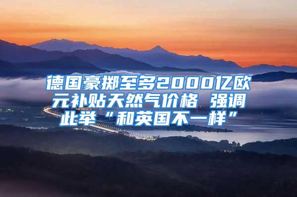 德国豪掷至多2000亿欧元补贴天然气价格 强调此举“和英国不一样”