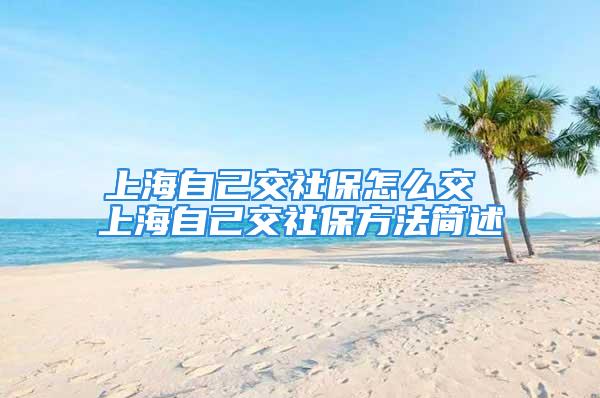 上海自己交社保怎么交 上海自己交社保方法简述