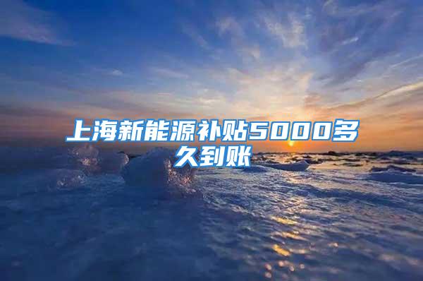 上海新能源补贴5000多久到账