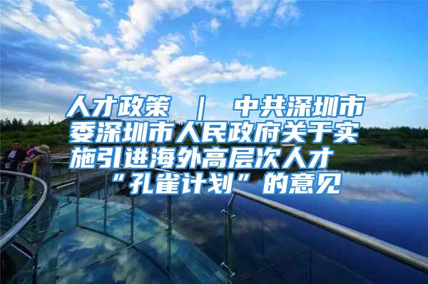 人才政策 ｜ 中共深圳市委深圳市人民政府关于实施引进海外高层次人才“孔雀计划”的意见