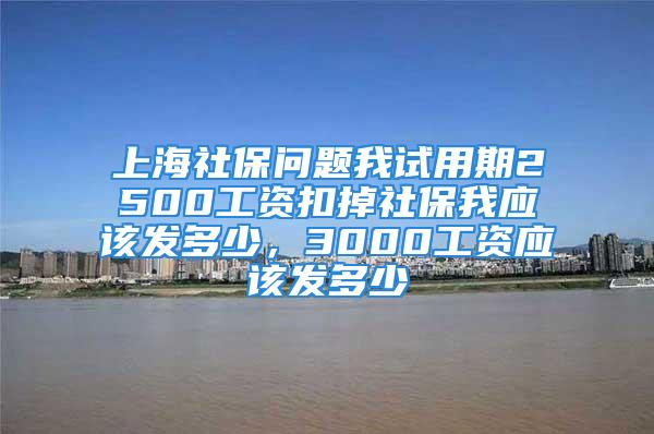 上海社保问题我试用期2500工资扣掉社保我应该发多少，3000工资应该发多少