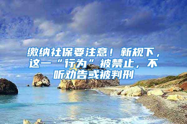 缴纳社保要注意！新规下，这一“行为”被禁止，不听劝告或被判刑