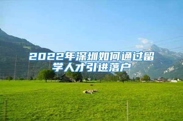 2022年深圳如何通过留学人才引进落户