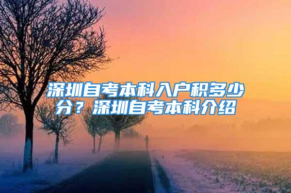 深圳自考本科入户积多少分？深圳自考本科介绍