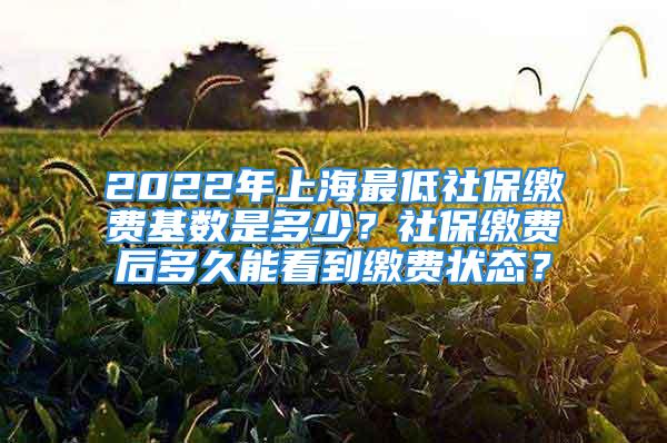 2022年上海最低社保缴费基数是多少？社保缴费后多久能看到缴费状态？